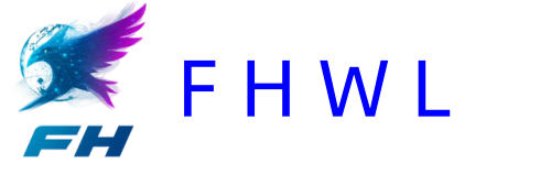 飞海网络